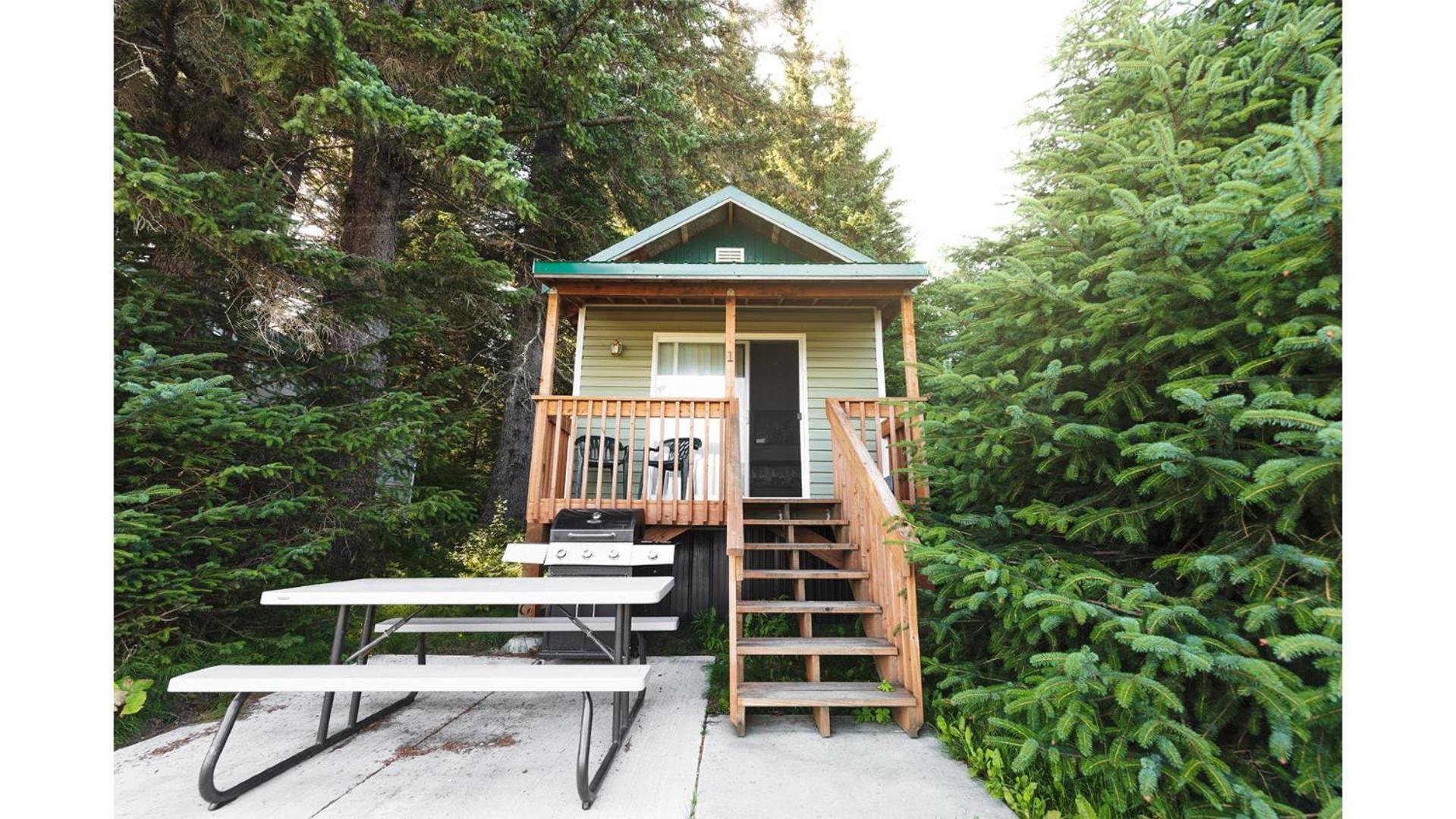 Cabin 1 Lynn View Lodge Хейнс Экстерьер фото